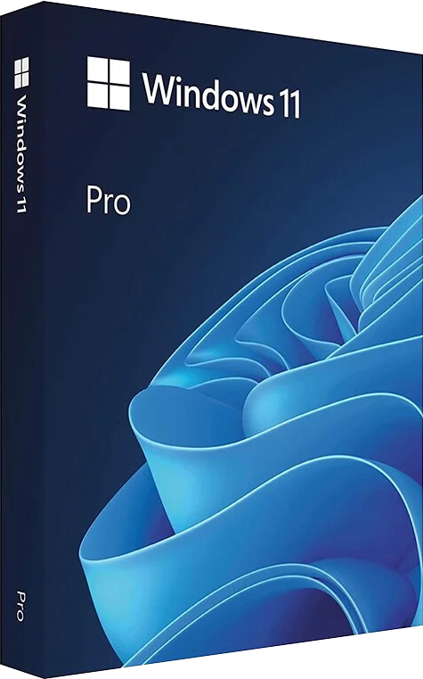 Windows 11 Pro